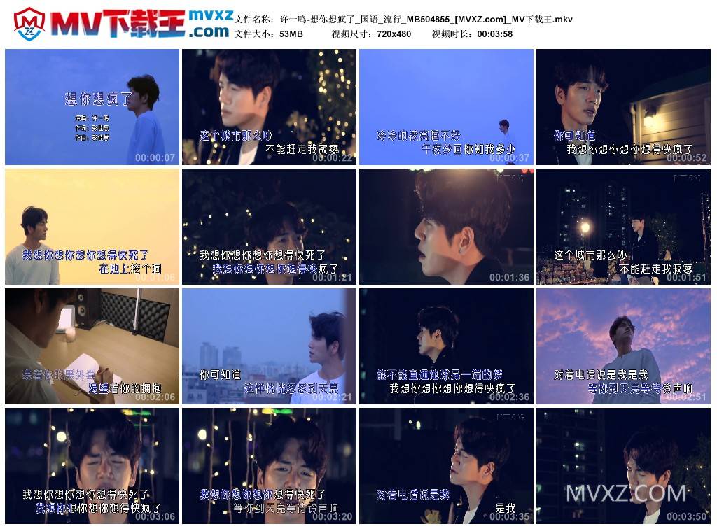 许一鸣-想你想疯了_国语_流行_MB504855